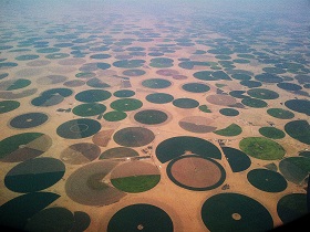 Pivot cultivation in Saudi Arabia