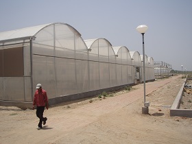 Greenhouses in India